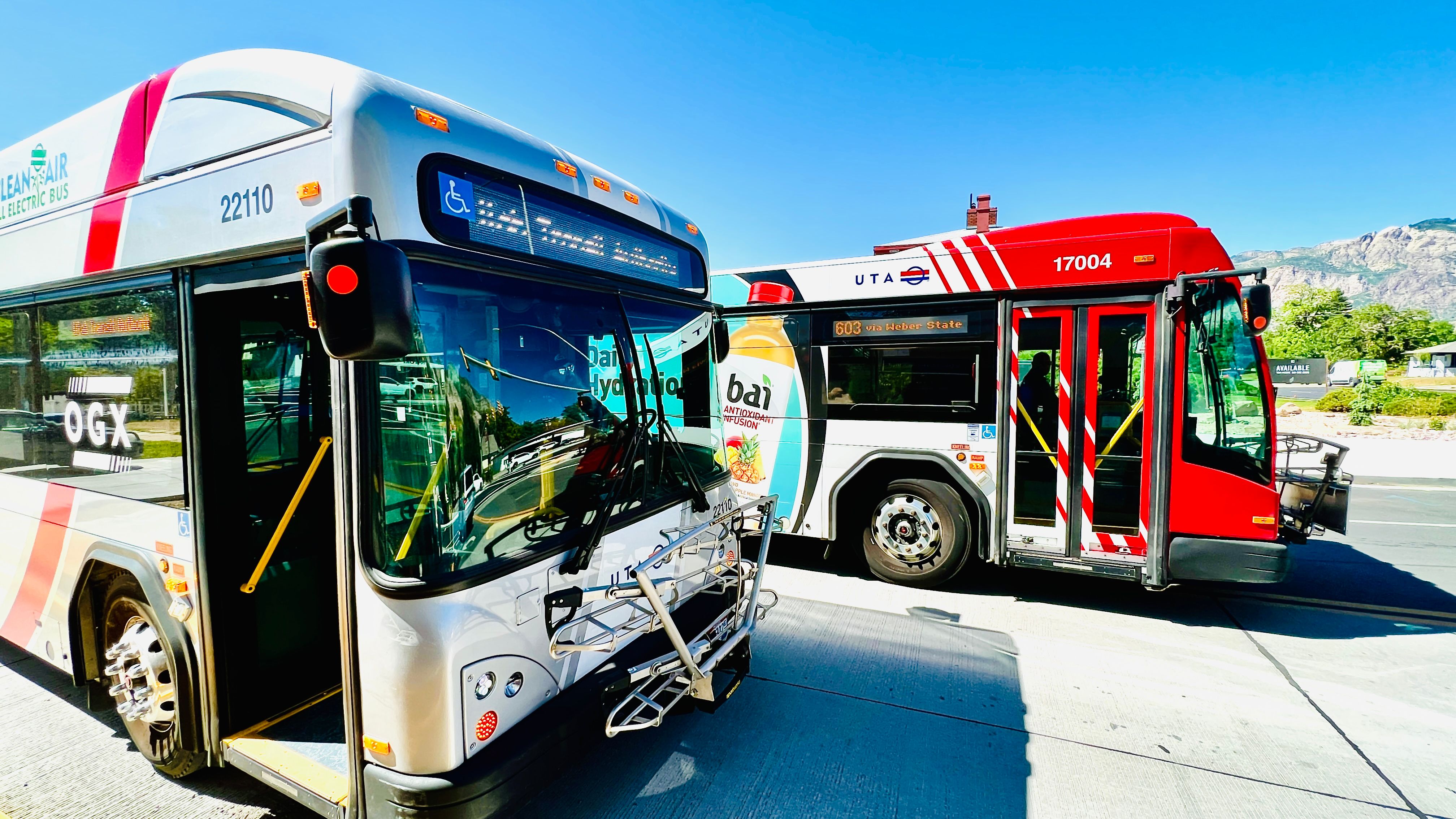 OGX and Regular Bus Vehicles